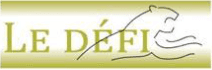 Logo Defi